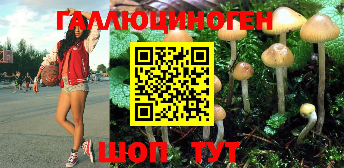 Галлюциногенные грибы прущие грибы Кизилюрт