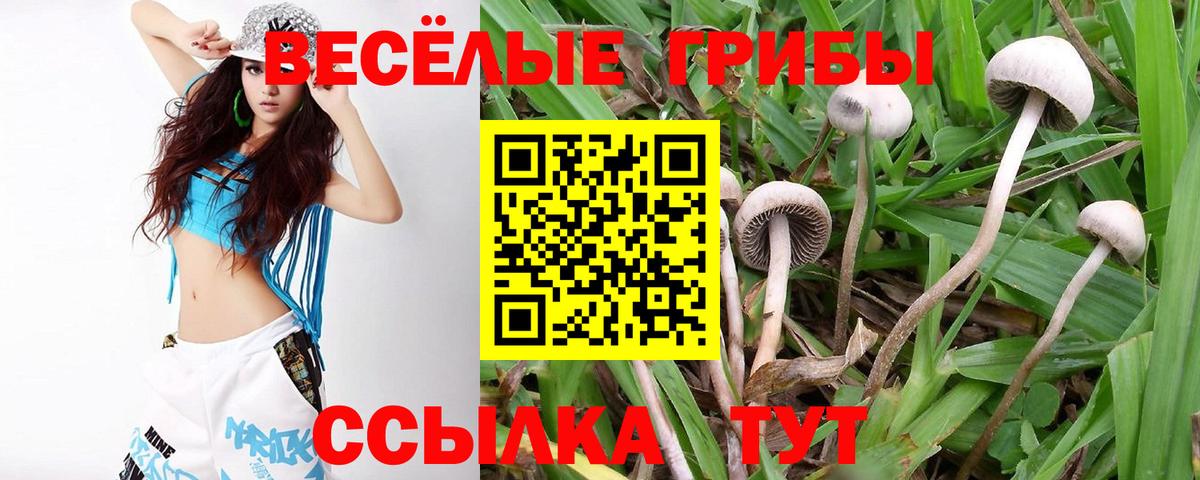 Псилоцибиновые грибы мицелий  Вход с VPN  Галлюциногенные грибы ЛСД  Кизилюрт 
